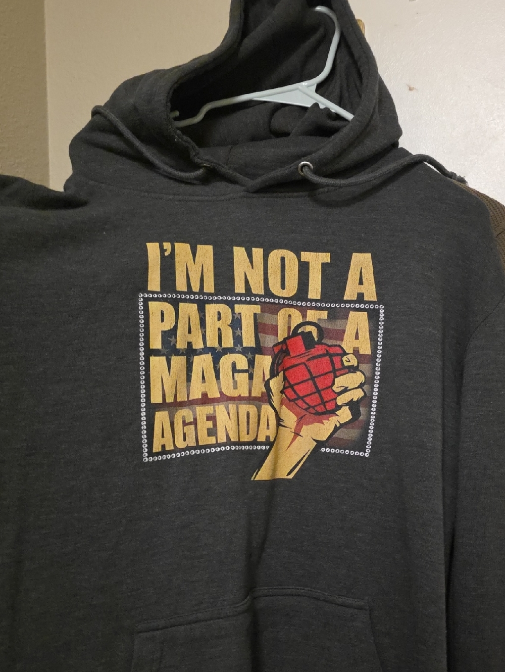 Anti-MAGA ANTI-TRUMP Green Day hoodie